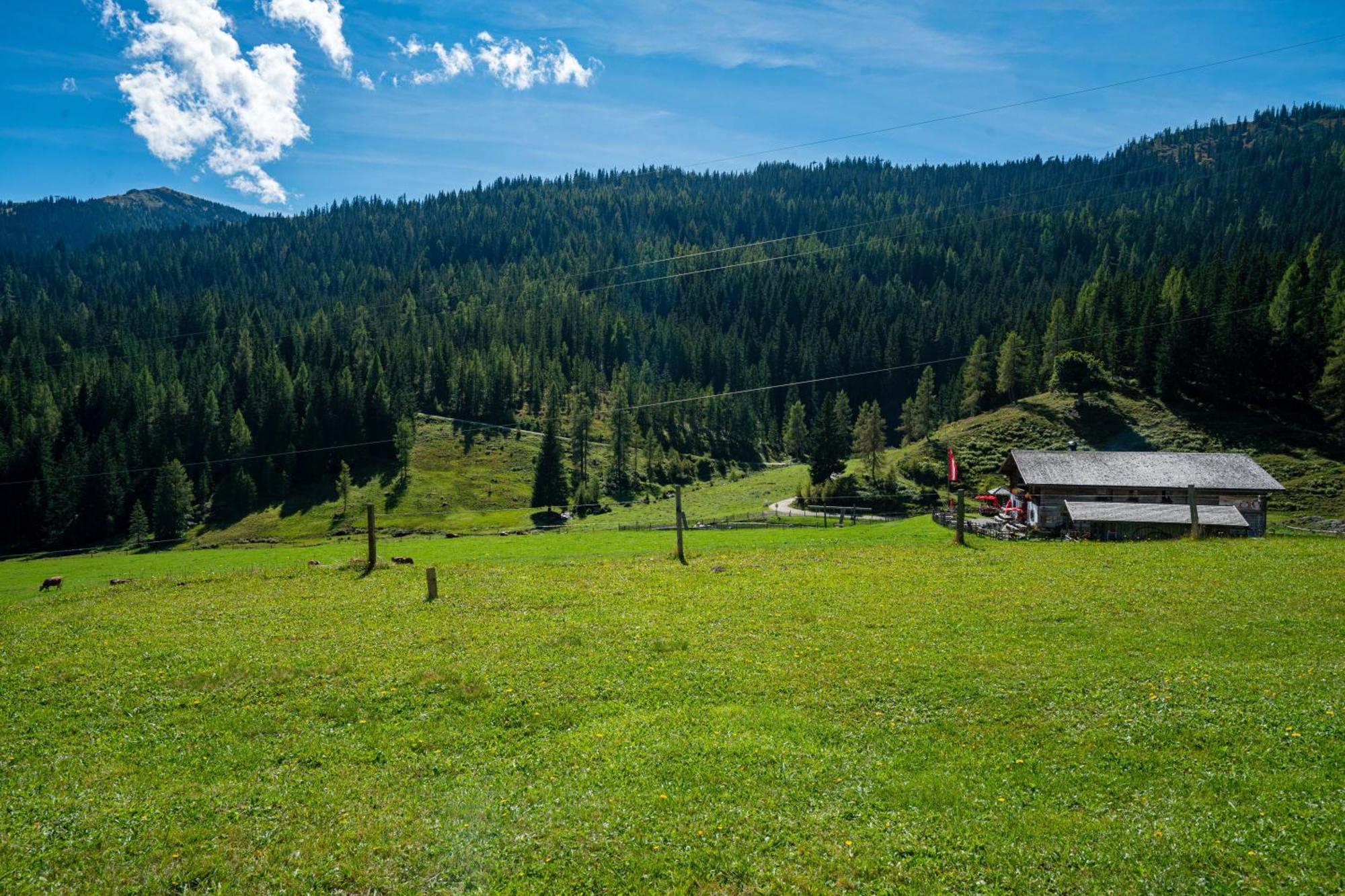 Mühlbach am Hochkönig Mittereggalm酒店 外观 照片