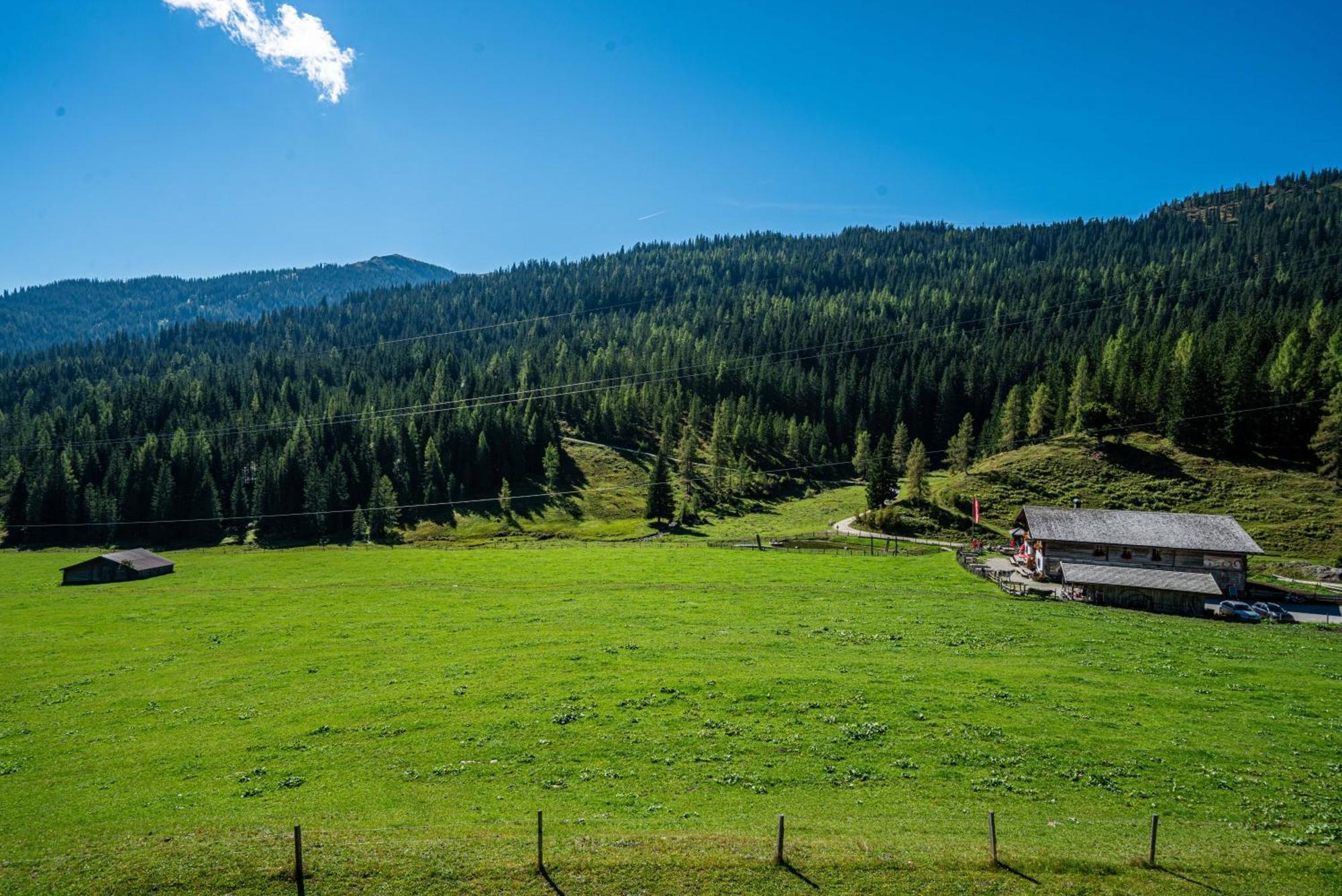 Mühlbach am Hochkönig Mittereggalm酒店 外观 照片